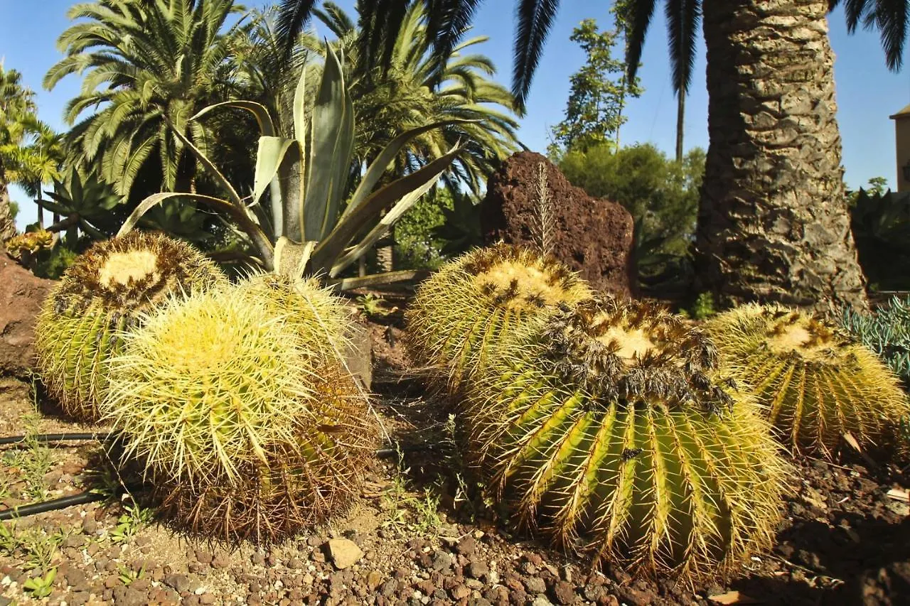 Finca Tocama La Vera-Carril 0*,  Spain